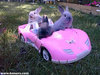 Rabbits in a car