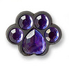 Purple Paw Charm