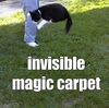 Ride an invisible magic carpet.