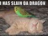 slain da dragon