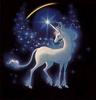 The Last Unicorn