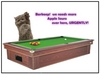 Bowcat plays pool