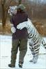 I give you a Tiger Hug !!!