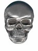 silver skull