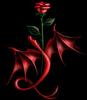 ~a rose 4 U~