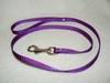 leash to walk your pet