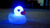 the disco duck