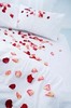 Rose Petals Scattered on bed