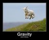 Screw Gravity!