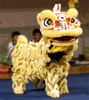 Lucky Chinese Lion Dance