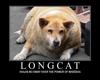 Longcat is nothing....