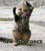 Use the force