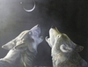 A night out howling at the moon
