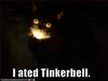 I ated Tinkerbell cat