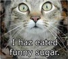 funny sugar