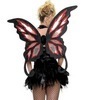 Dark Faerie Wings
