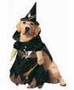 bewitched (pet costume)