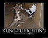 KUNG-FU FIGHTING