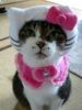 Hello Kitty, Kitty Outfit