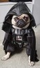 Darth Vader Dog Suit