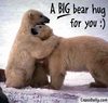 A big bear hug