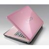 Pink Vaio