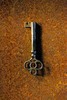 Skeleton Key