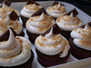 Endless Smores cupcakes