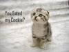 You Eated My Cookie? T_T