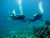 Scuba Diving just me and you