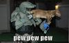 Dog Lasergun *pewpew*