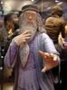 KUNG-FU LESSONS FROM DUMBLEDORE