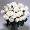 20 white roses