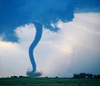 Taken To See A Tornado