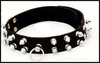 spike collar