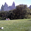 Falling in Love in Central Park