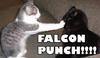 Falcon punch!!!!