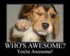 You're Awesome!!