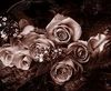 † a bouquet of eternal roses