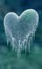 a cold cold heart