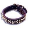 Spiked Dog Collar