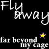 I want to fly