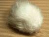Your Very Own Tribble