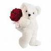 TEDDY &amp; SINGLE HEART ROSE