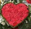 300 Red Roses of love