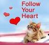 follow ur heart