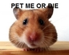 Pet Me or DIE