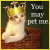 You may pet me..