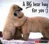 a big bear hug