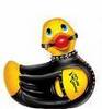 bondage duck